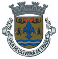 brasão de Oliveira de Frades